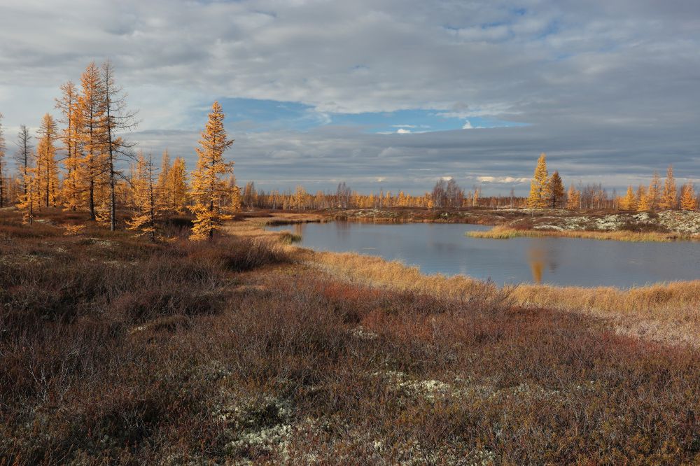Photograph by Светлана Смирнова