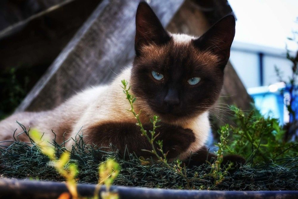 Photograph by Сергей Назаредский