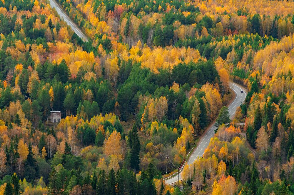 Photograph by Олег Бережных