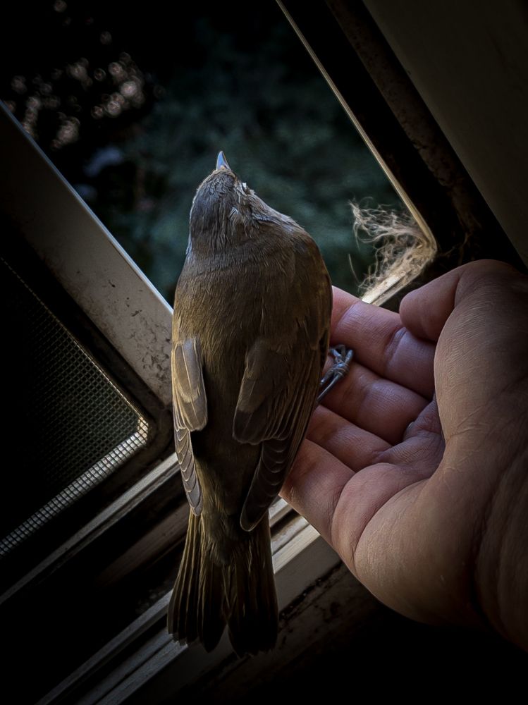 Photograph by Хавронина Марина