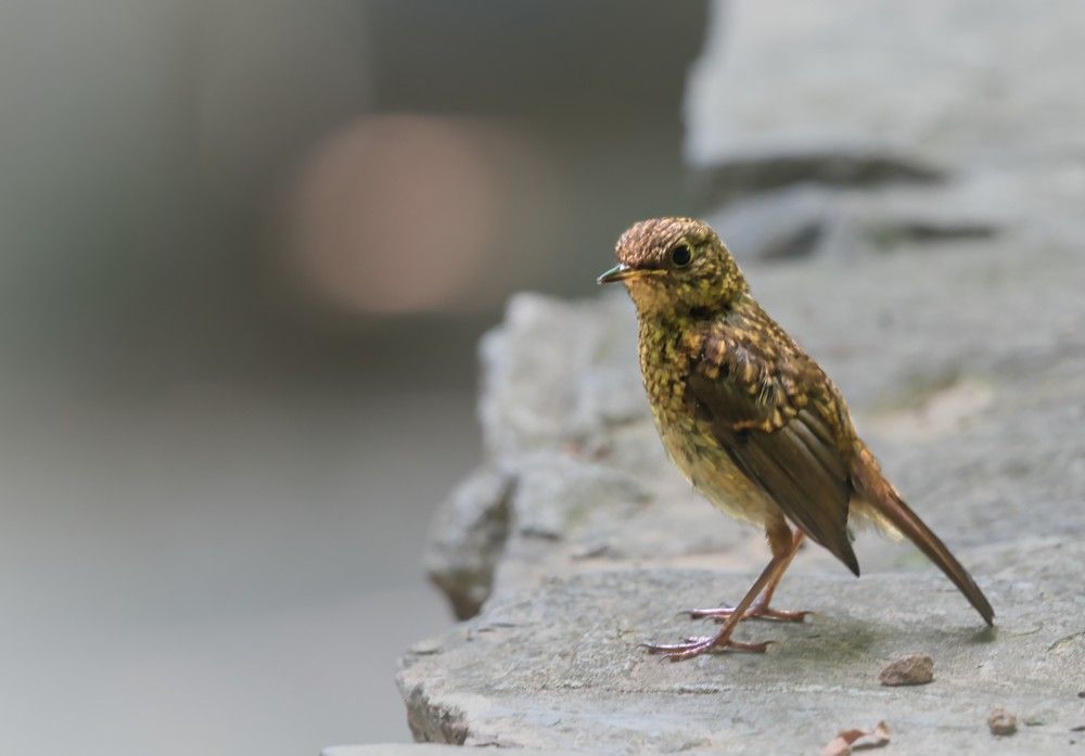 Photograph by Reza Nik