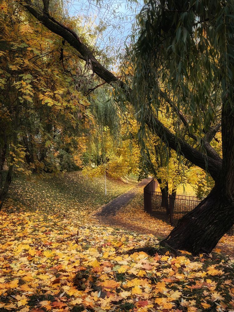 Photograph by Ольга Томашевич