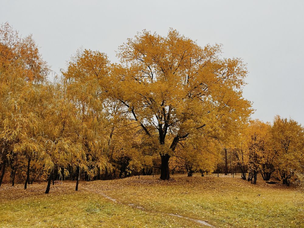 Photograph by Ольга Томашевич
