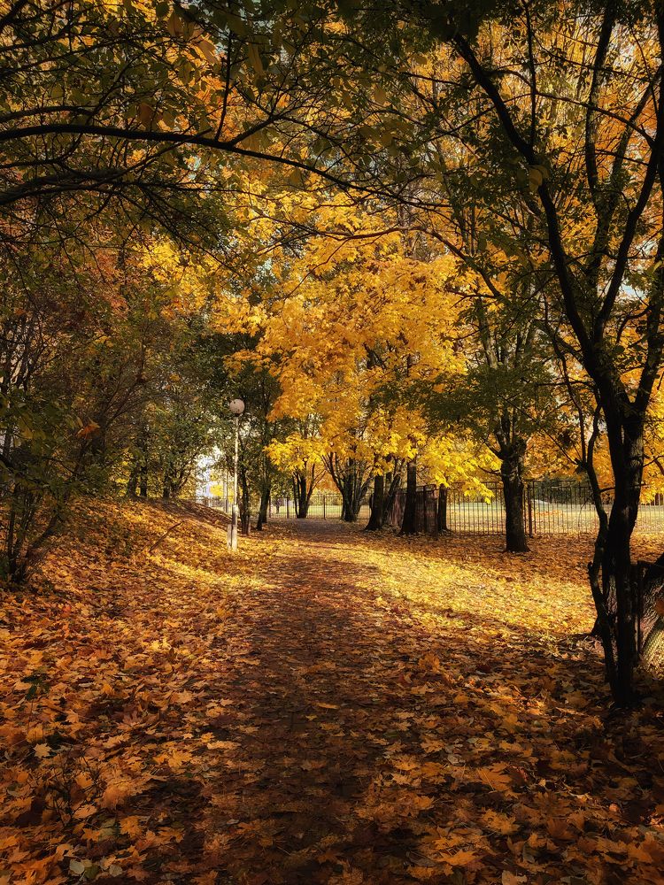 Photograph by Ольга Томашевич