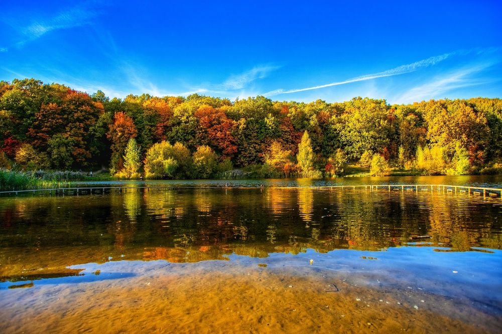 Photograph by Паша Савельев