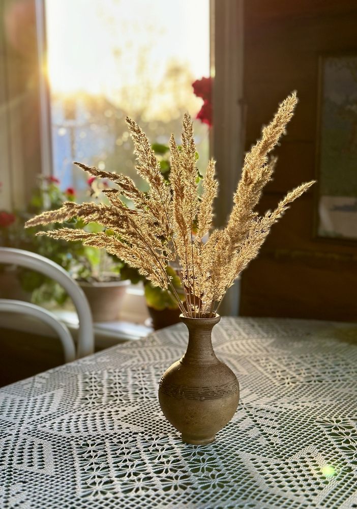 Photograph by Kuzmichev Alexey