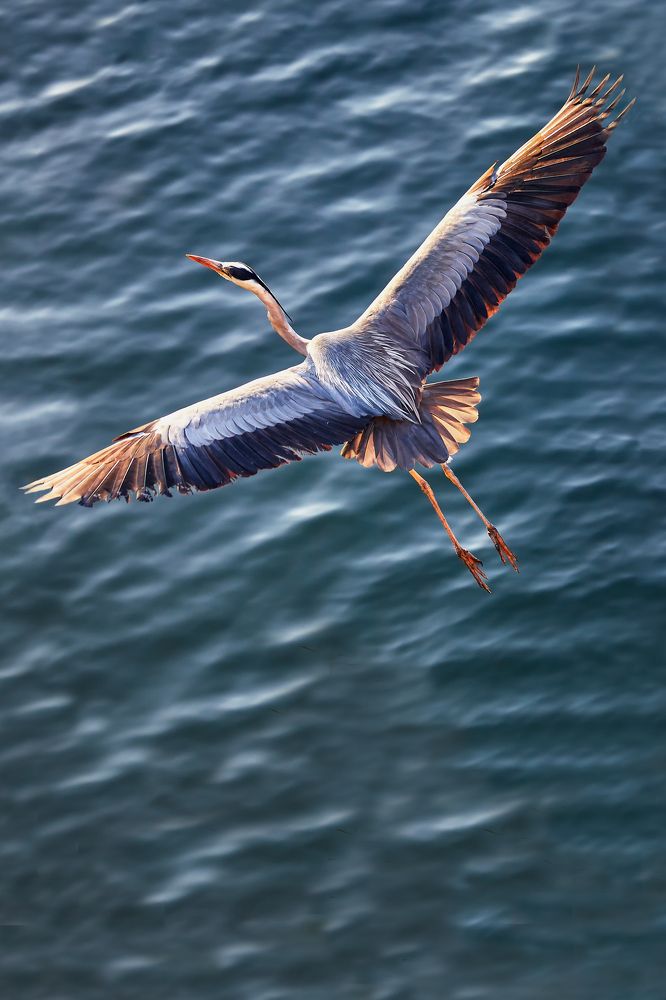 Photograph by Valentin Borsan