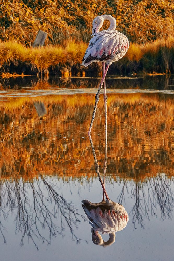 Photograph by Valentin Borsan