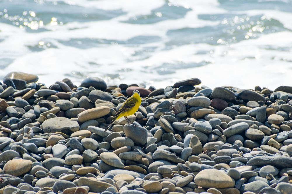 Photograph by Оксана Кричевцова