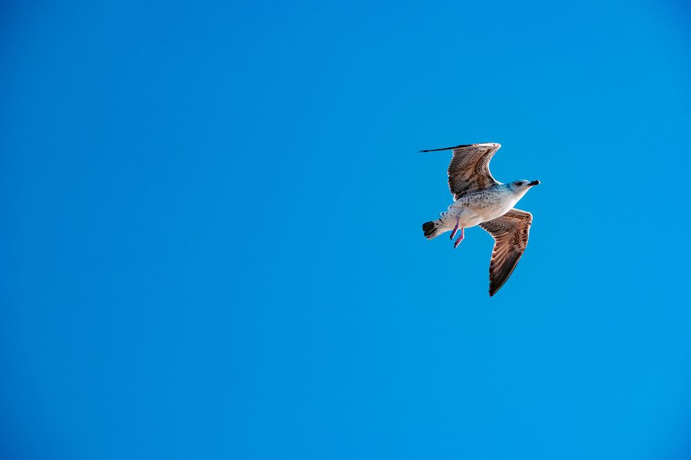 Photograph by Оксана Кричевцова