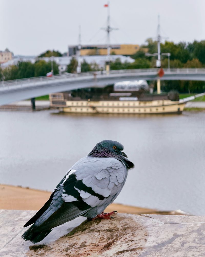 Photograph by Никита Петров