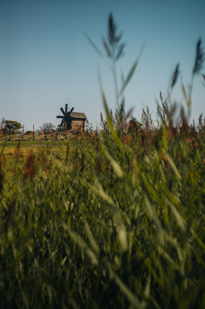 Photograph by Виктория Фирсова