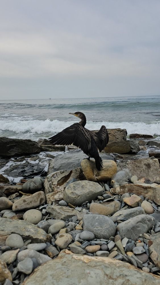 Photograph by Наталья Каплина