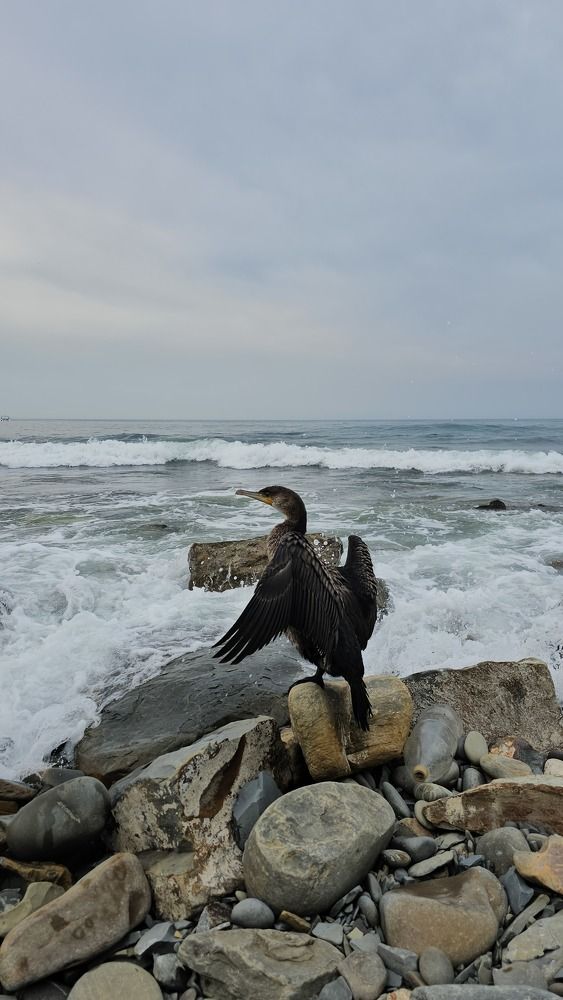 Photograph by Наталья Каплина