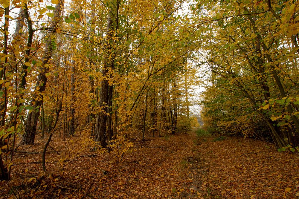 Photograph by Анна Евдокименко