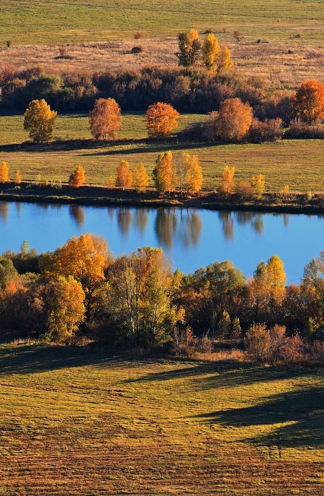 Photograph by Ольга Веселова