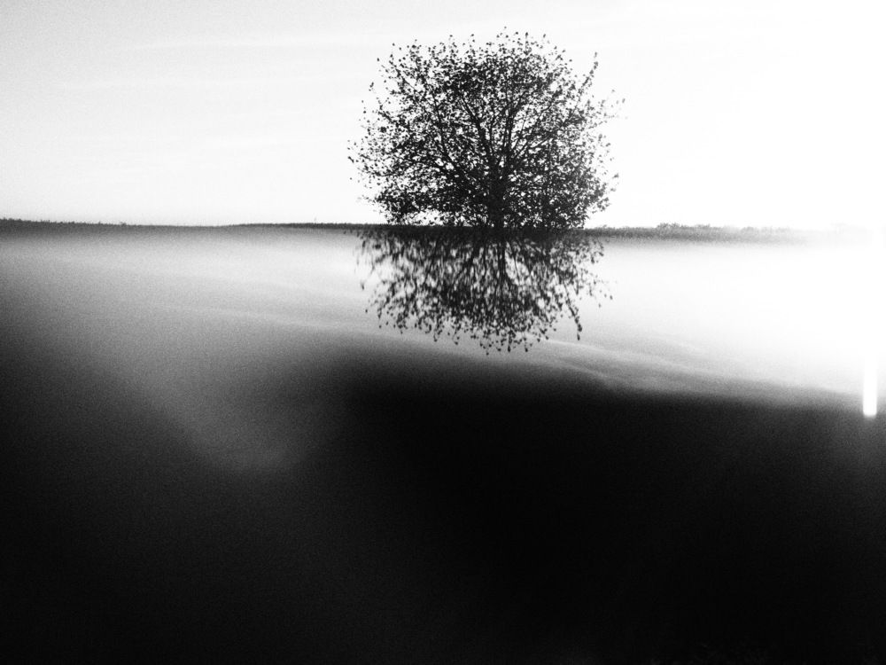 Photo #11102758