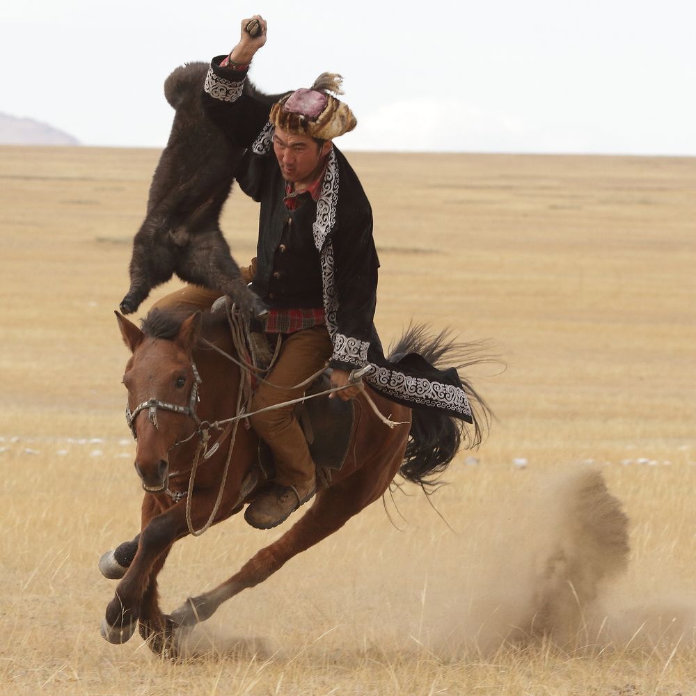 Photo #11102785