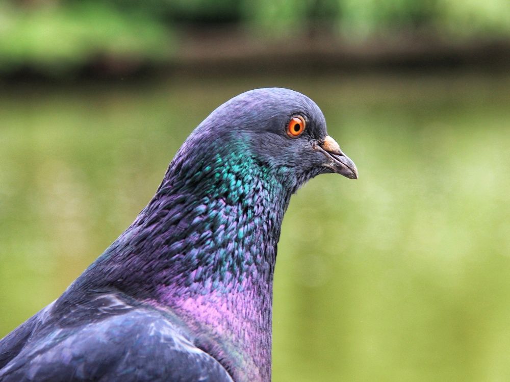 Photograph by Татьяна Долгушева