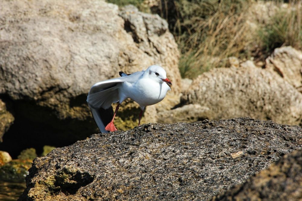 Photograph by Татьяна Долгушева