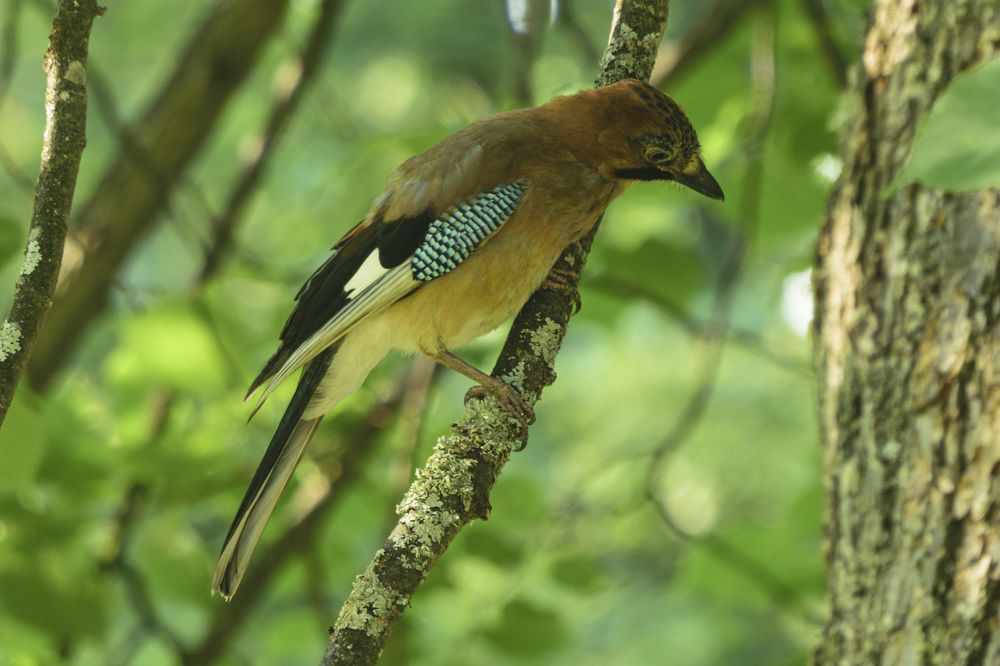 Photograph by Лилия Кондратьева