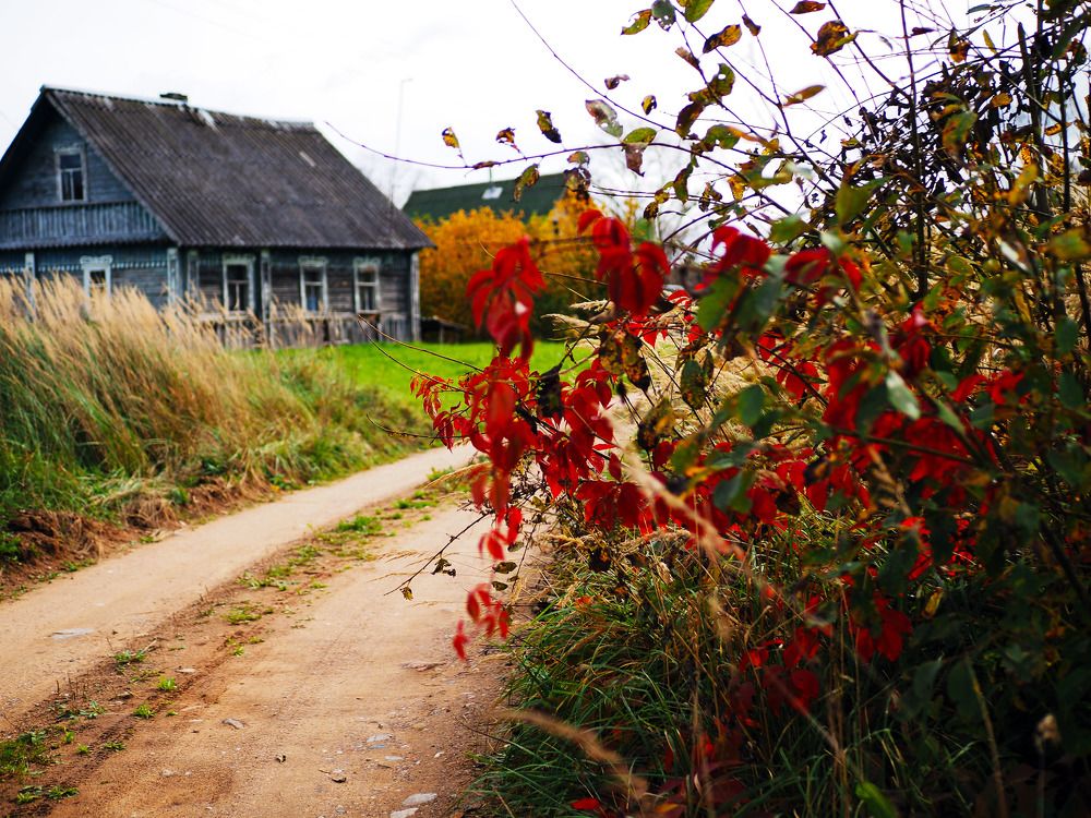 Photograph by Алексей Гнедовский