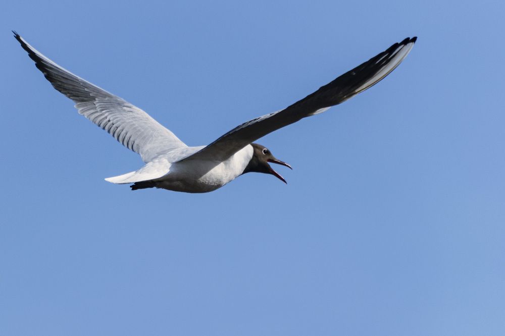 Photograph by Лилия Кондратьева