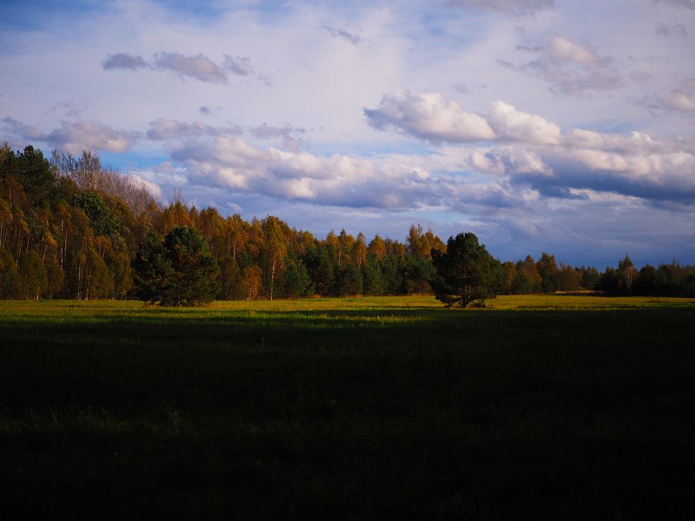 Photograph by Алексей Гнедовский