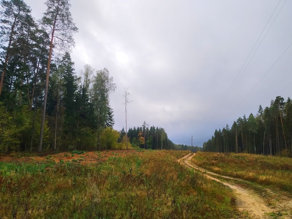 Дорога в осень