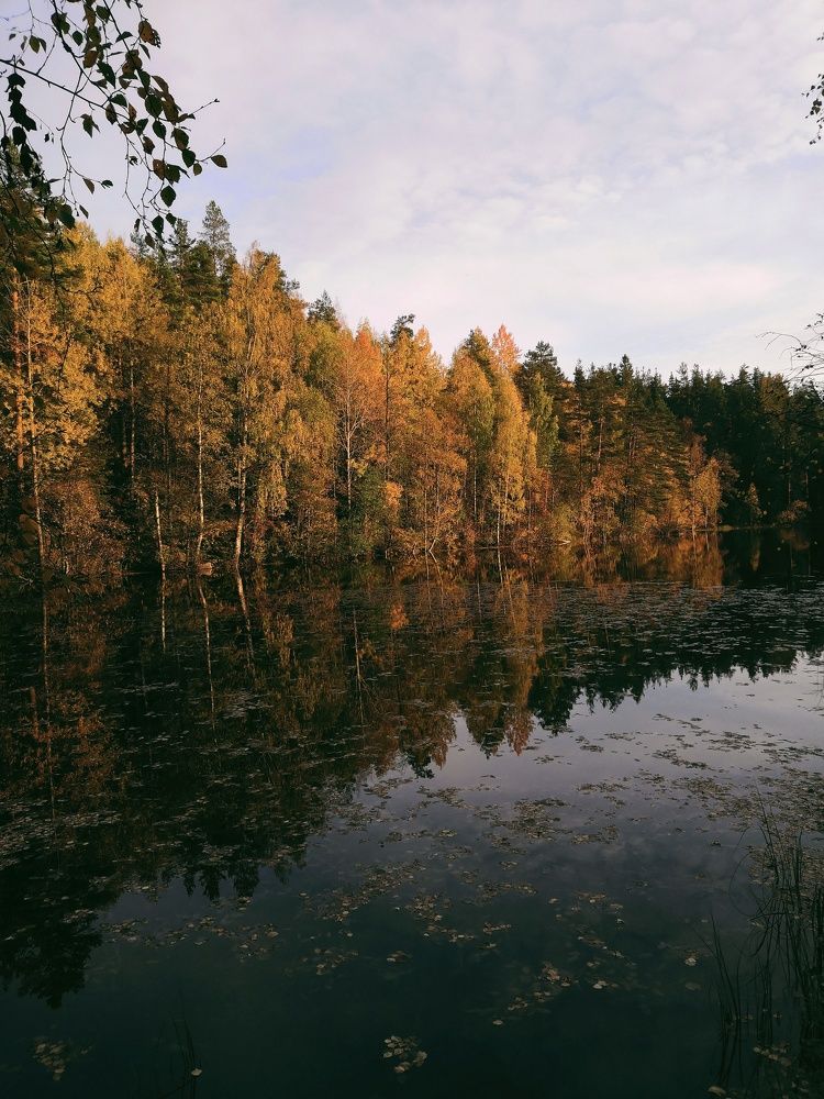 Photograph by Олег Васильев