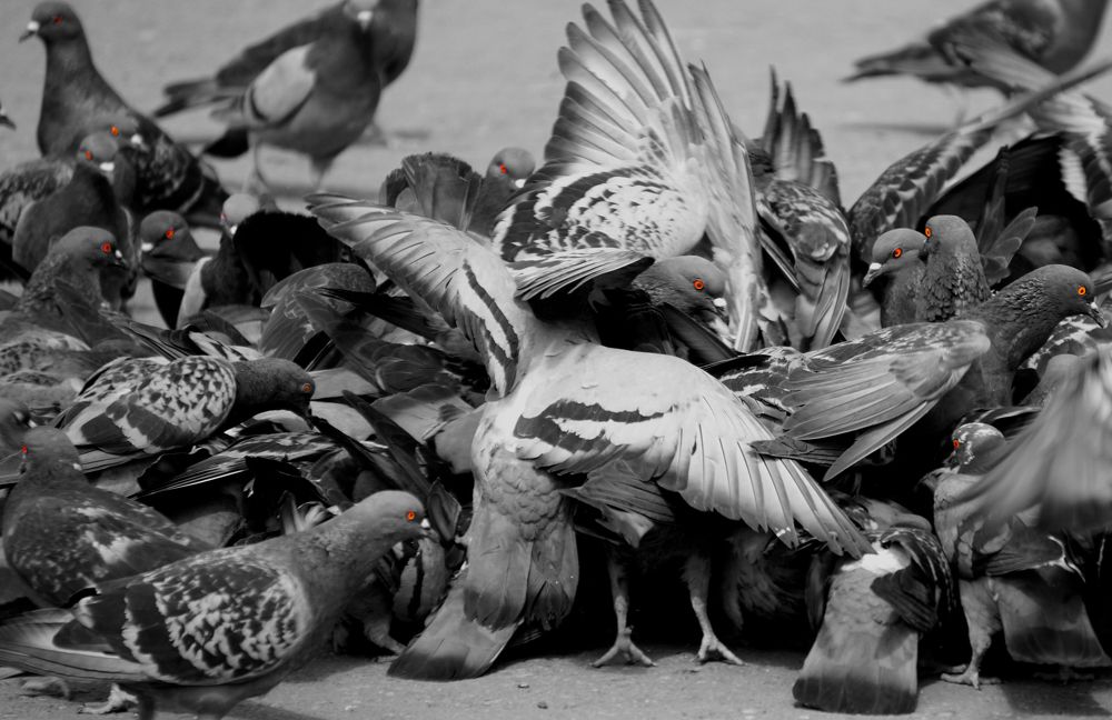 Photograph by Блюмина Елена