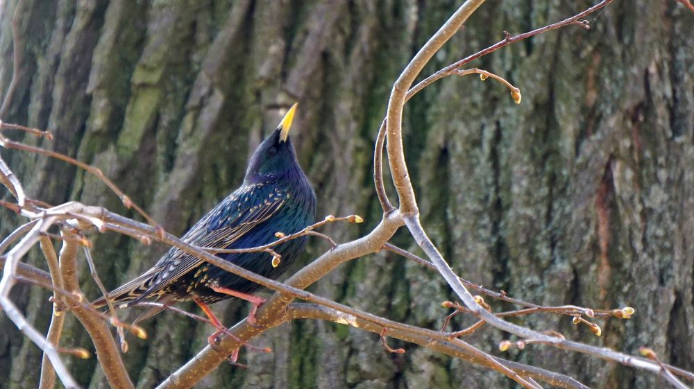 Photograph by Блюмина Елена