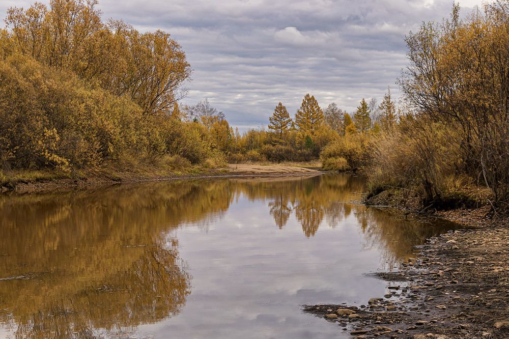 Рыжая осень