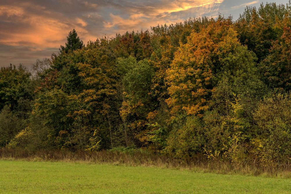 Photograph by Андрей Пучков