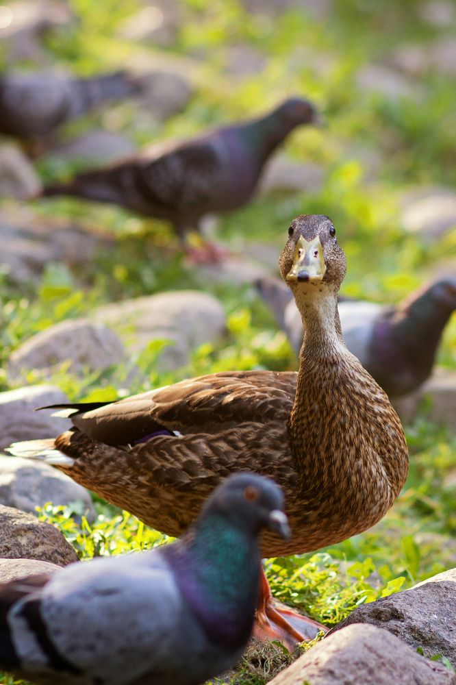 Photograph by Наталья Золотарева