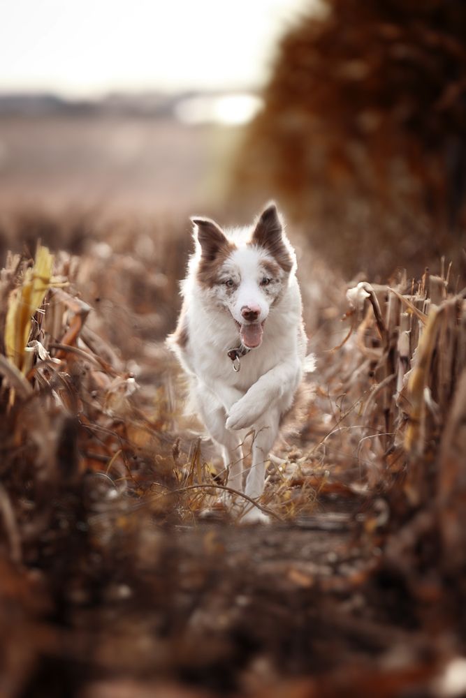 Фотография автора Вострецов Иван