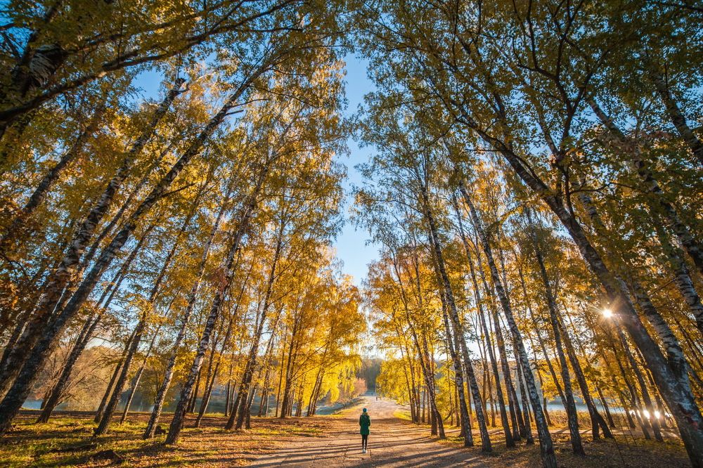 Photograph by Алексей Пирязев