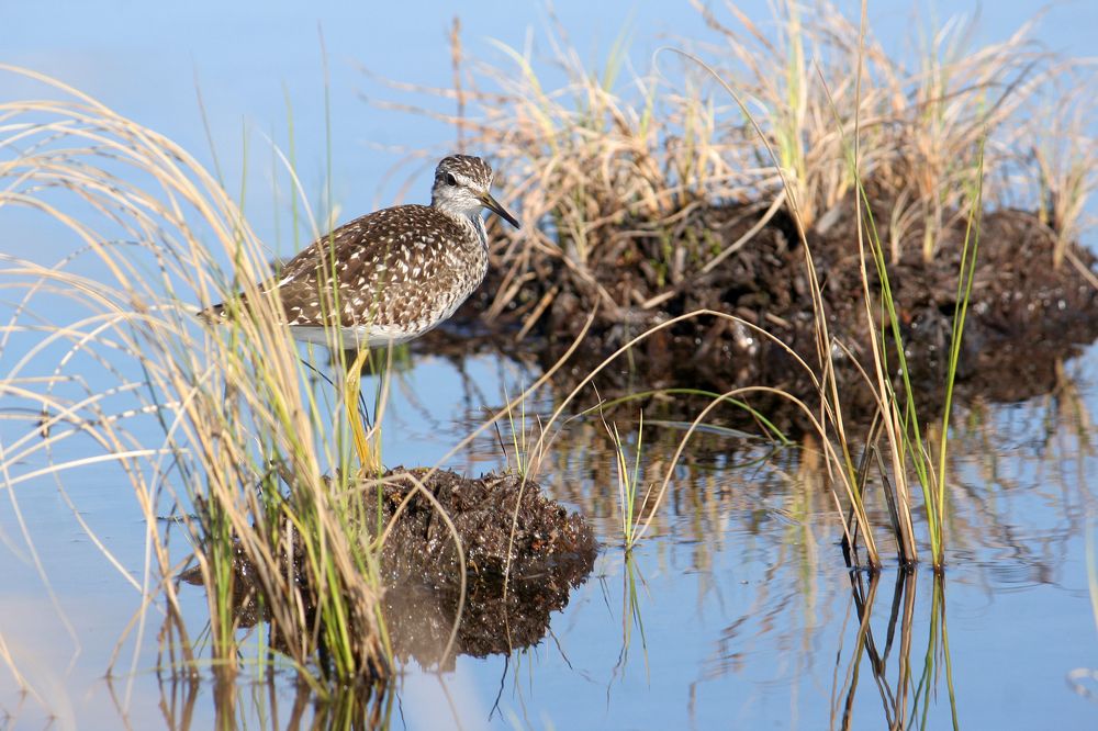 Photograph by Дарья Улюсова