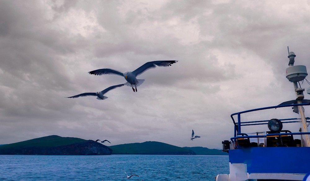 Photograph by Людмила Ваганова