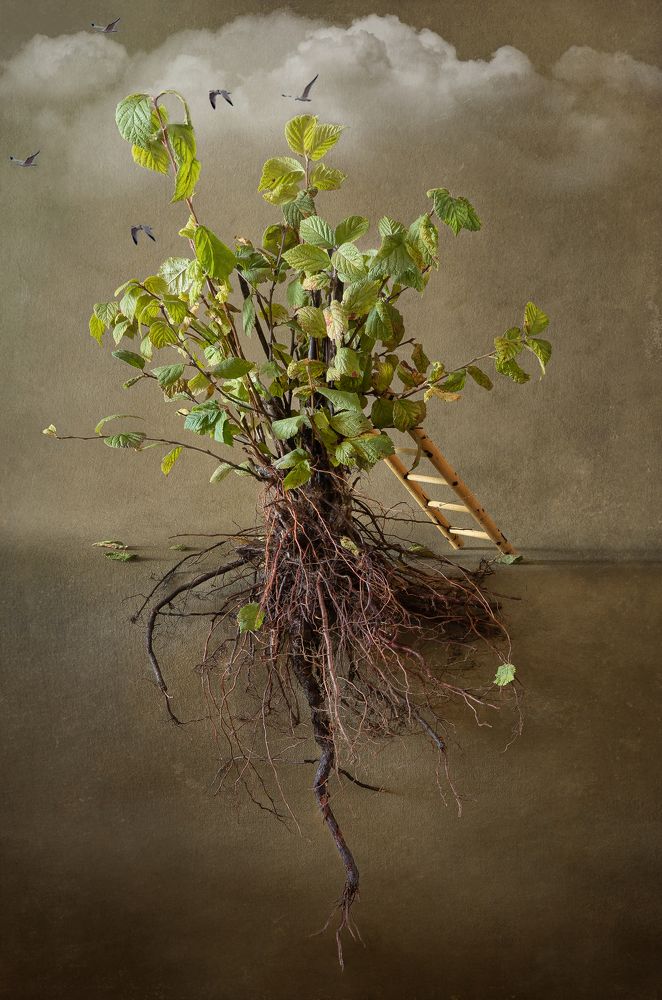 Photograph by Тришина Галина