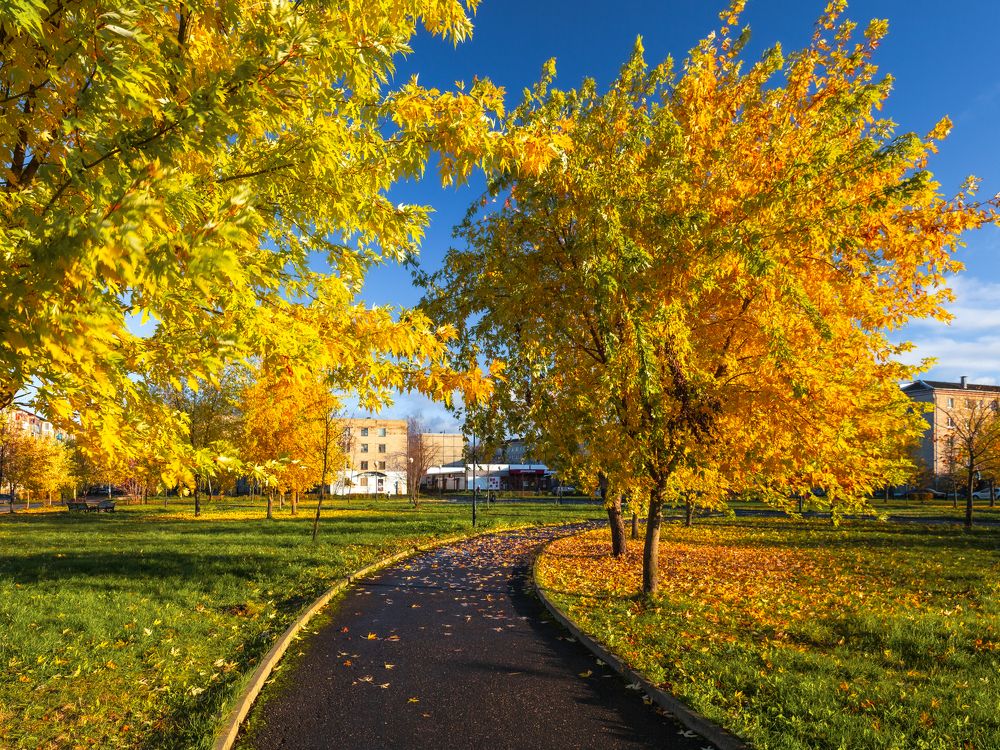 Фотография автора Вячеслав Коробов