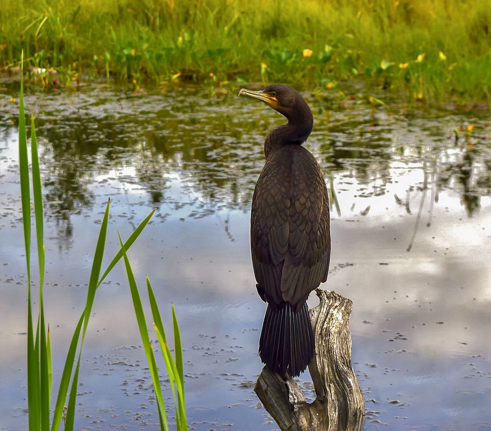 Отдых и осмотр территории