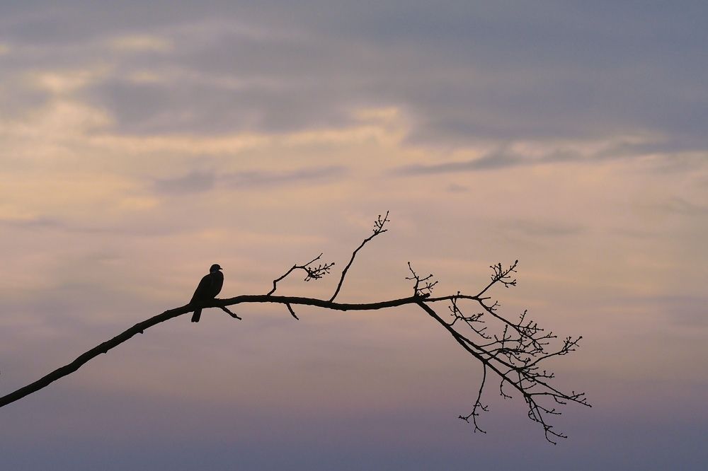 Photograph by Сергей Пушкин