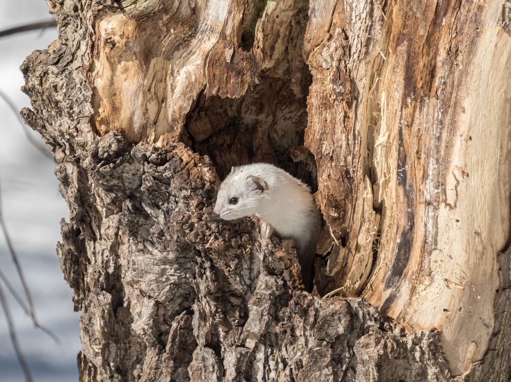 Photograph by Yury Fokin