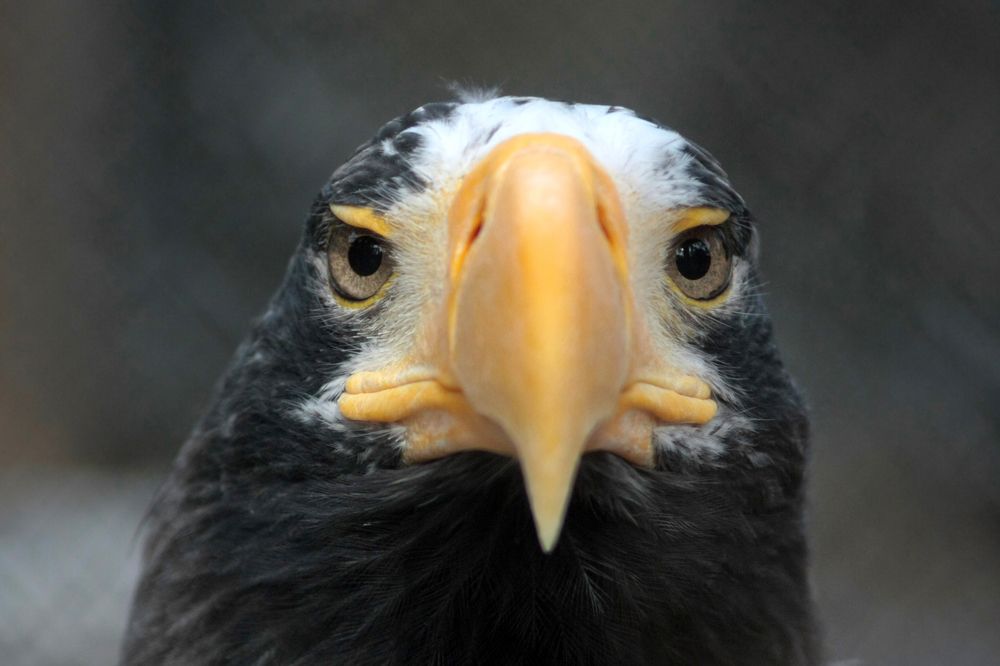 Photograph by Иван Овчинников