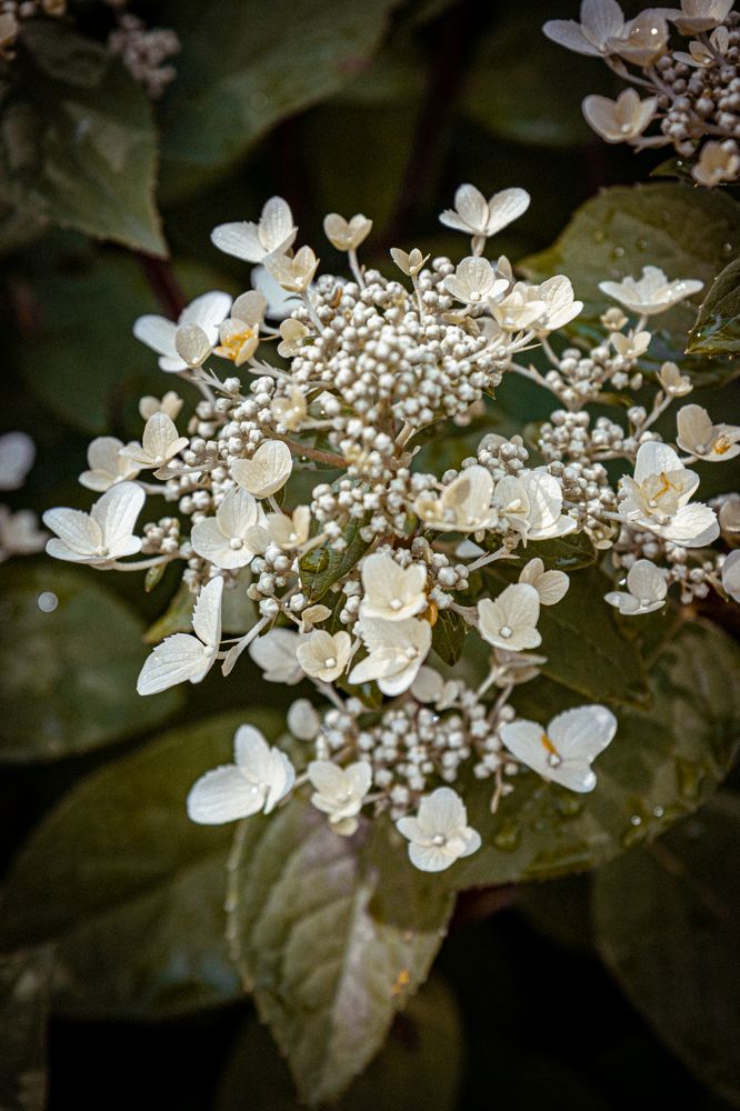 Photograph by Сергей Аникушин