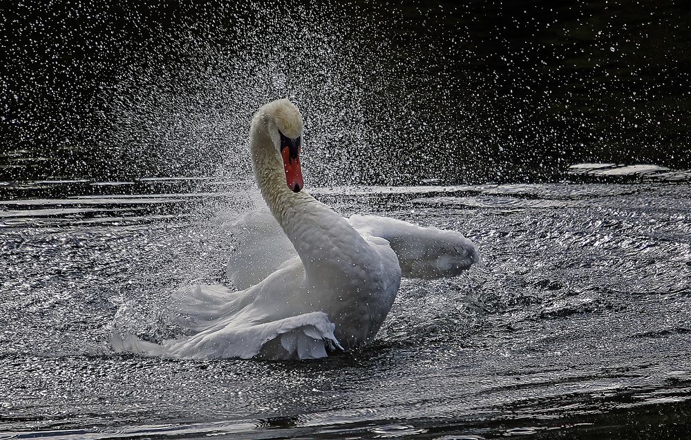 Фотография автора Александр