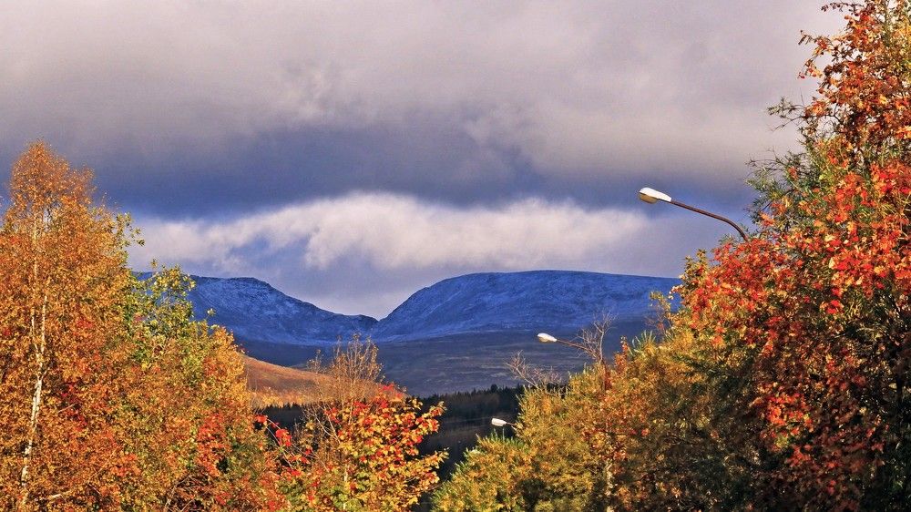 Рябина на фоне Хибин.