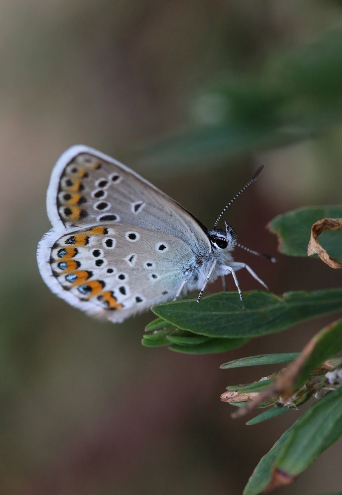 Photograph by Виктория Писаренко