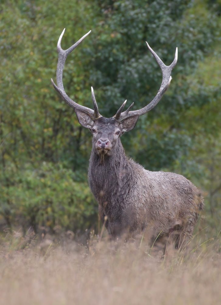 Фотография автора Sebastian Popa